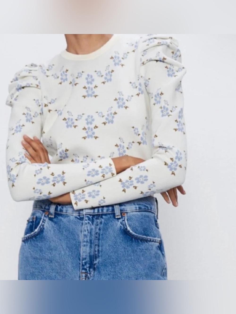 Zara Cream Knit Top with Light Blue Floral Print and Puff Shoulders